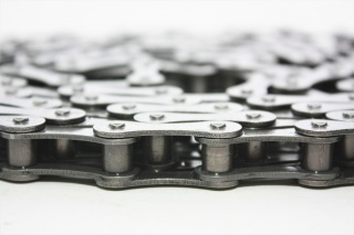 LANT CU ROLE 12B-1   RENOLD